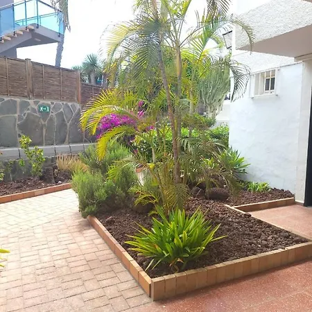 Lovers From In Sunny Gran Canaria Appartement
